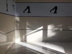 -Tao瑜伽