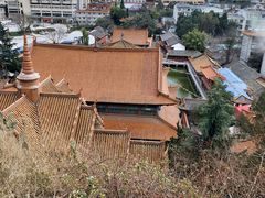 -昆明动物园