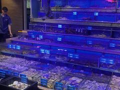 -青蓬蒸汽海鲜·深圳老字号·团建聚会(壹方城店)