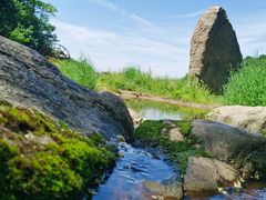 -鲁山国家森林公园