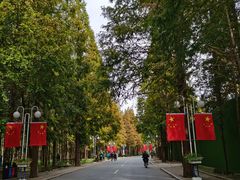 -日照海滨国家森林公园