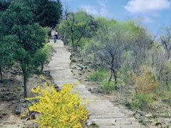 -北京西山国家森林公园