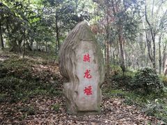 -上海佘山国家森林公园天马山园