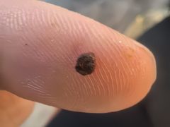 -裕兴记面馆(现代传媒广场店)