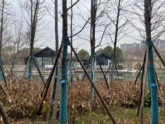 -洋湖国家湿地公园