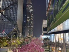 -深圳湾万象城(南山店)