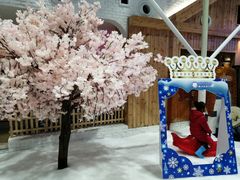 -Mr·Kuma酷么先生雪之乐园
