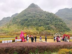 -靖西鹅泉风景区
