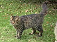 -东华大学(松江校区)