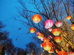 -中国翰园碑林