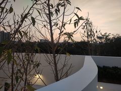 -紫马岭公园