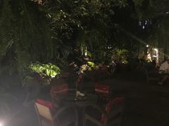 -Fern Forest Cafe
