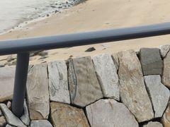 -野狸岛