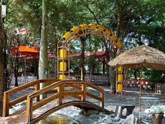 -陶缘一号·四季缘·老字号顺德菜·户外婚礼家宴(西滘店)