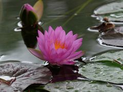 -国家植物园南园