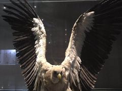 -青藏高原自然博物馆