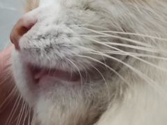 -樱花糕坊(万松园店)