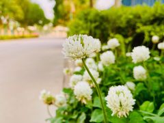 -南开大学滨海学院