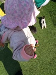 -萌宠亲子动物乐园(槐房万达店)