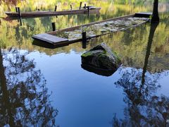 -深圳仙湖植物园