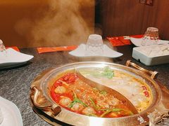 -熊喵来了火锅·牧场好肉(邯郸邯山万达店)