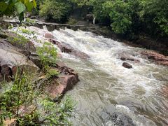 -广州白江湖森林公园