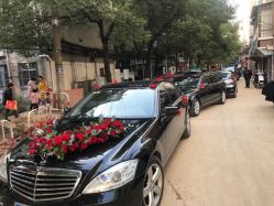 -蚂蚁婚车