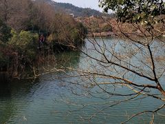 -白马涧龙池景区