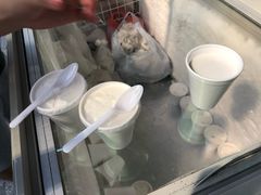 -洪馨椰子