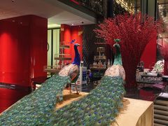 -北京索菲特大酒店