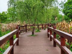 -白鹭湾湿地公园