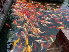 -宁波杭州湾国家湿地公园