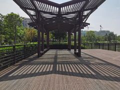 -王借岗森林公园