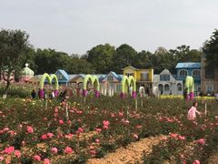 -松山湖梦幻百花洲