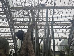 -南山植物园