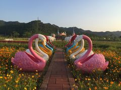 -美的鹭湖森林度假区