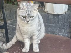-鼎香润(什刹海德胜门店)