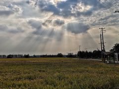 -嘉北郊野公园
