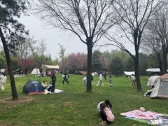 -洨河生态公园