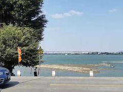 -八仔大富楼·河鲜(西江店)