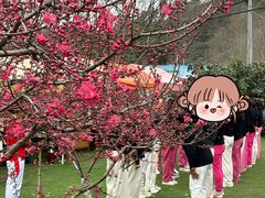 -桃源山庄·水蜜桃采摘·柴火鸡·烧烤团建(龙泉山店)