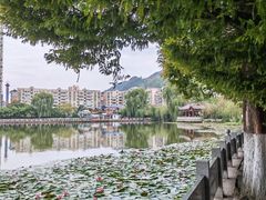 -凤池园