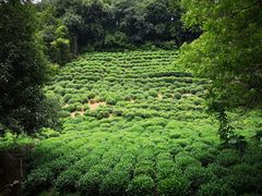 -杭州西湖风景名胜区-三生石