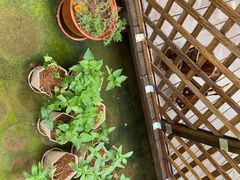 -军山湖云水间生态农业旅游景区