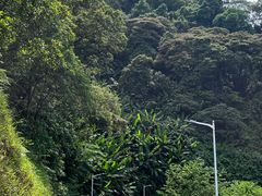 -黄埔油麻山森林公园