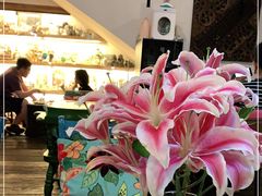 -六月花园咖啡馆(中关村东路店)