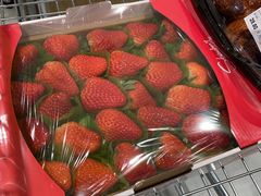 -盒马X会员店(上海森兰商都店)
