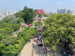 -黄鹤楼公园(黄鹤楼)