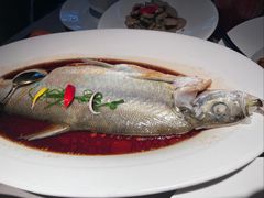 -醉庐·新上海菜(南京西路店)