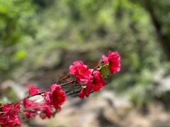 -黑龙潭风景区